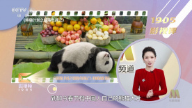 色多多百度网盘